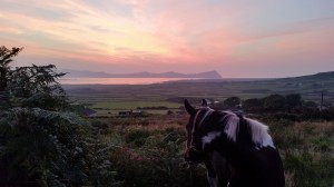 Overlooking Dingle Horseriding stables at sunset