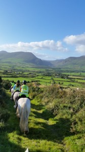 Mountain Horse Treking