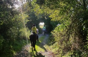 West Kerry Horse Trails