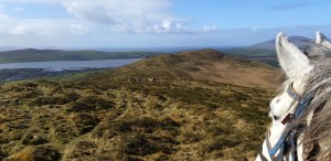 Dingle Horse Riding Holidays