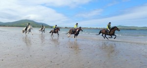 Dingle Horse Riding Treks on the Beach