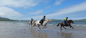 Dingle Horse Riding Treks on the Beach