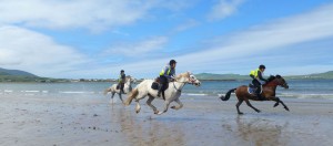 Galloping on the beach