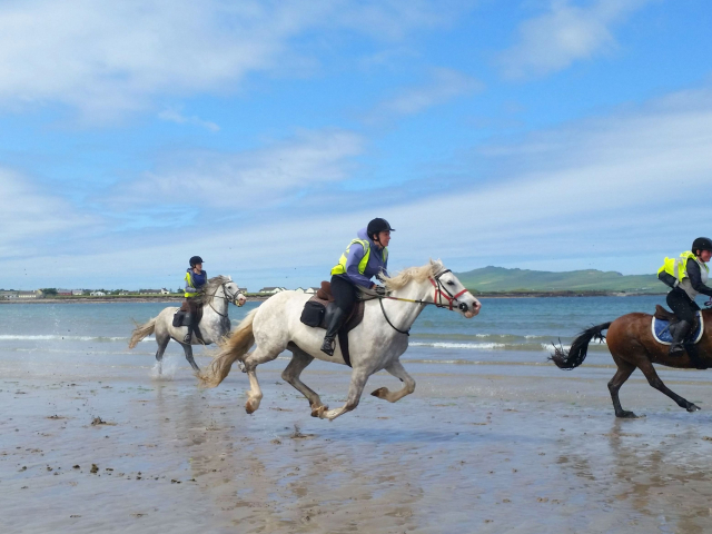 Galloping on the beach