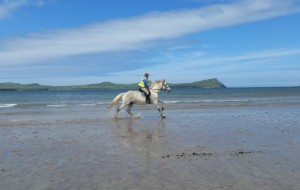 Dingle Horse Riding Treks on the Beach