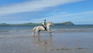 Horse Riding on the Beach