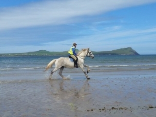 Horse Riding on the Beach