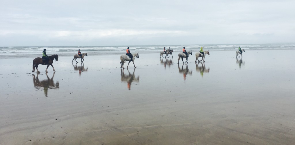 Trekking along the beach