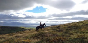 Shamrock Trails with Dingle Horseriding
