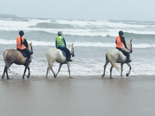 Heading east along the beach