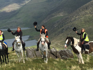 Horses on the Conor Pass