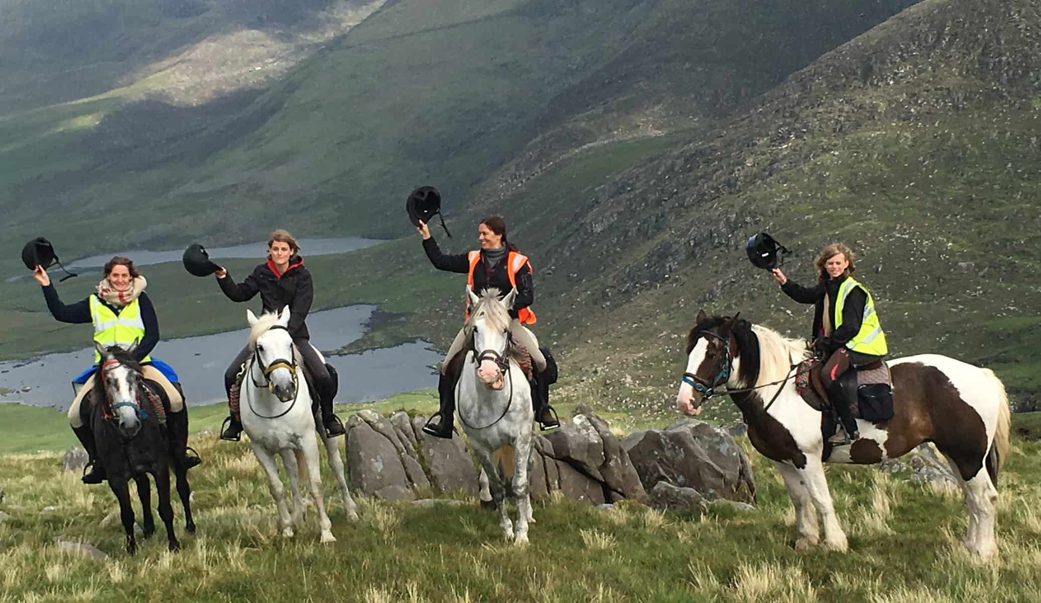 Horses on the Conor Pass