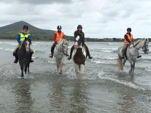 Horse Treking in Ireland