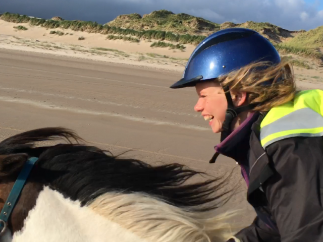 Galloping on the Beach