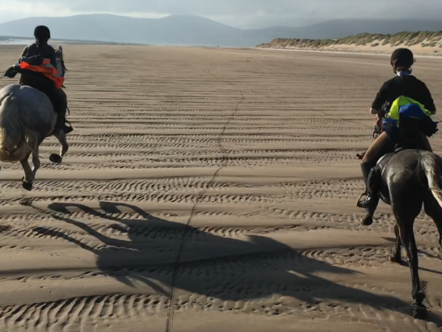 Horses running on the West Kerry beaches