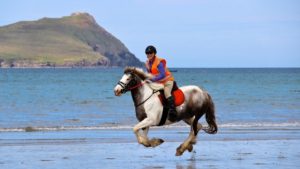 Horse Riding on West Kerry Beaches