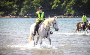 Horse Treking on West Kerry