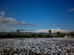 Winter at Dingle Horse Riding