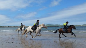 Dingle Horse Riding - Ireland