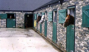 Dingle Horse Riding Stables
