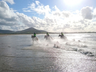 The Great Blasket Island Beach Trail