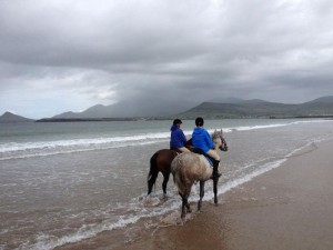 Beach Horse Trails