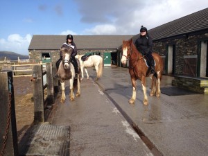 Getting ready for a horse trek at the Dingle Horseriding Stables