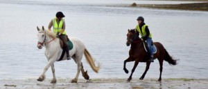 Horse Riding with Dingle Horseriding in Ireland