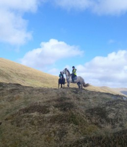 Dingle Horse Riding