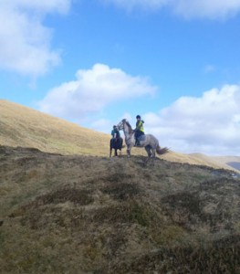 Dingle Horse Riding