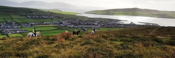 Horse Trek in the hills behind Dingle Town