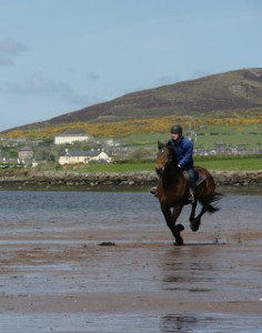 Galloping on the beach