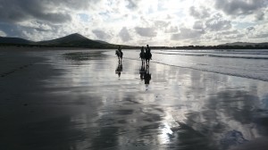 Great Blasket Islands Horse Riding