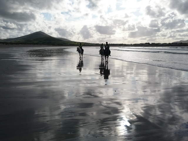 Great Blasket Islands Horse Riding