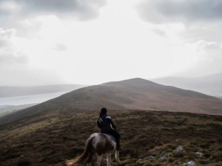 Winter Horse Treking