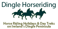 Dingle Horseriding Ltd logo