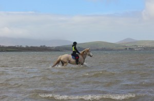 Susan Callery horse riding