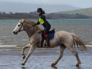 Susan Callery horse riding
