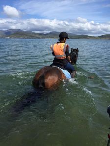 Horse and rider taking a dip