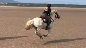 Galloping on the beach