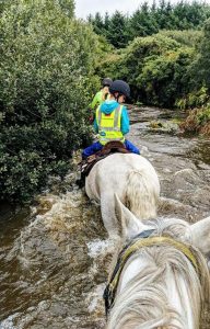 Horses on the river crossing