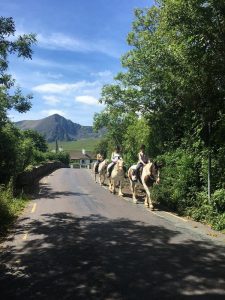 Horse Riding Holidays with Dingle Horseriding