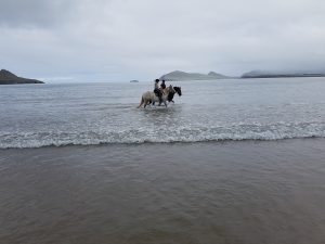 Winter Beach Horse Treking