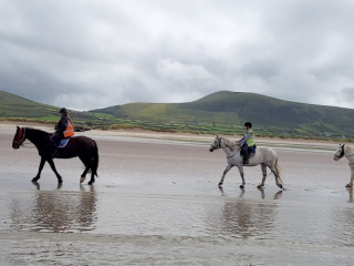 Winter Beach Horse Treking