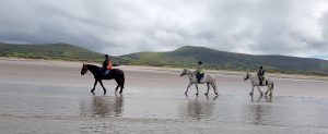 Winter Beach Horse Treking