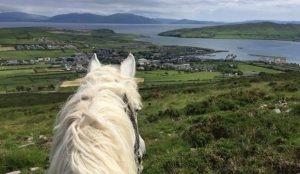 Overlooking Dingle Town