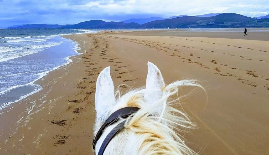 Dingle Beach Trails