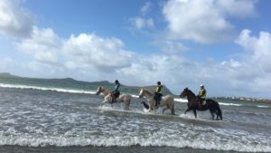 Dingle Horse Riding Holidays in Ireland