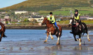 Beach Riding with Dingle Horseriding