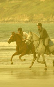 Dingle Horse Riding - Beach Trek